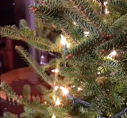 árbol de navidad con luces densidad de bombillas